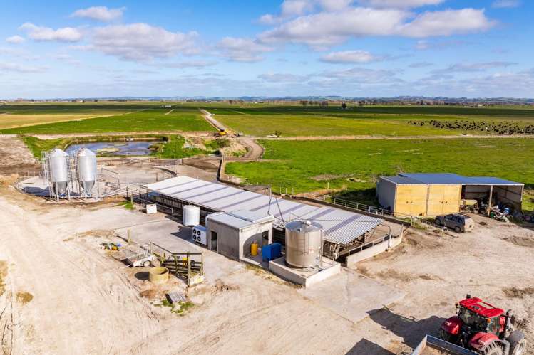 107 Molloy Road Ruawai_11