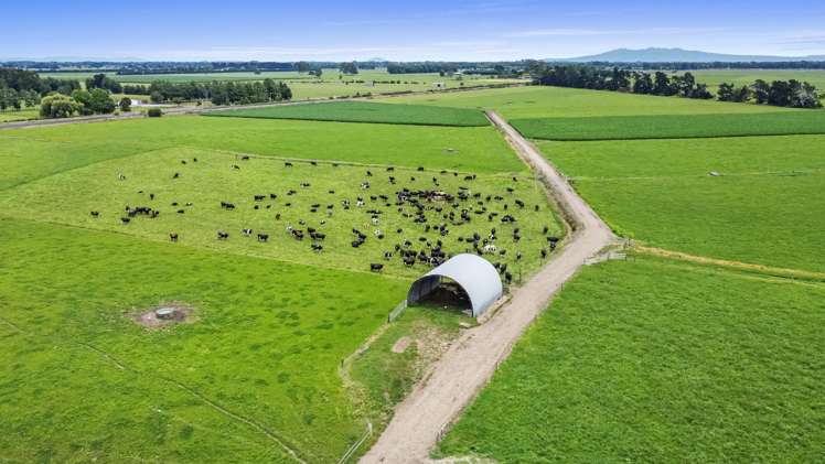 51a Waverley Road Gordonton_29