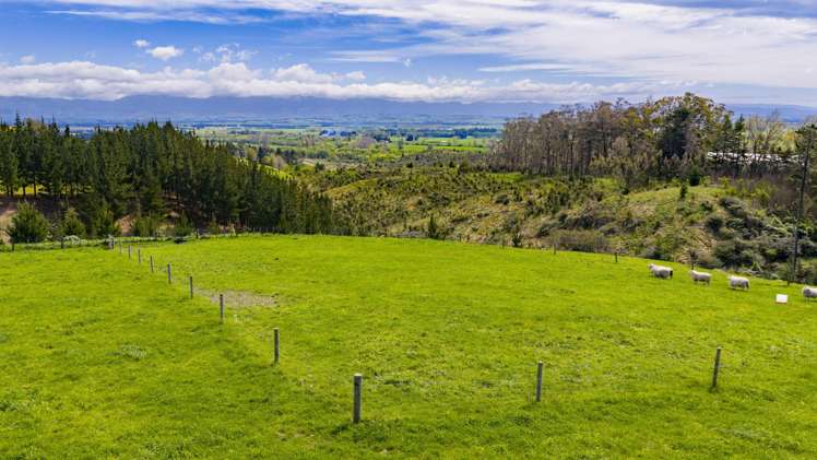 209a Pukeora Scenic Road Waipukurau_10