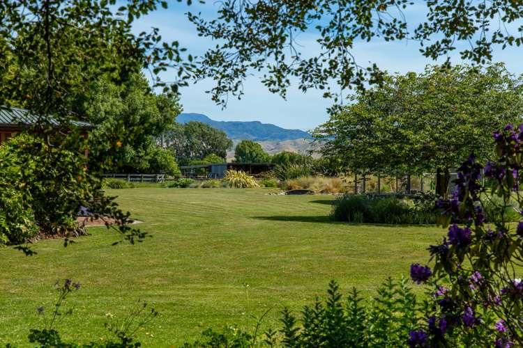 33 David Street Yelverton_15