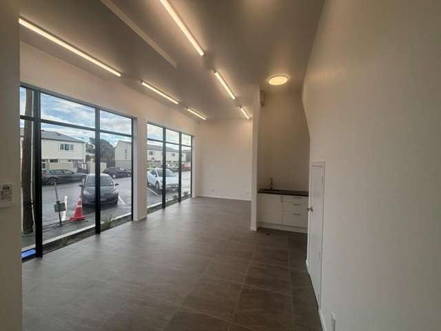 41 Birch Street Hutt Central_3
