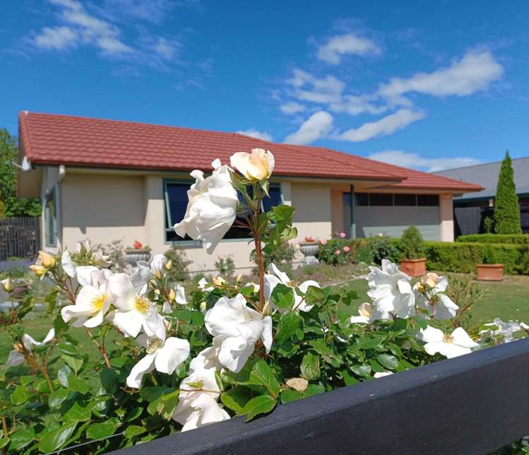 7 Belgrove Drive Waipukurau_2