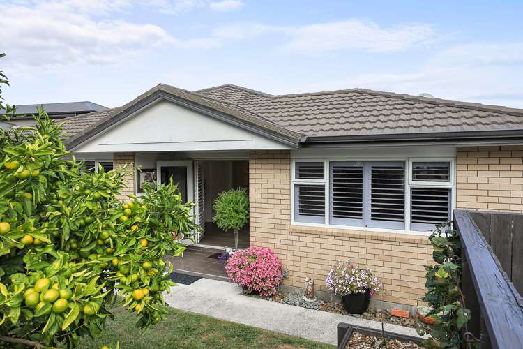 514 Preston Road Extension Te Awamutu_29