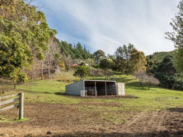 138 Seafield Road Eskdale_1