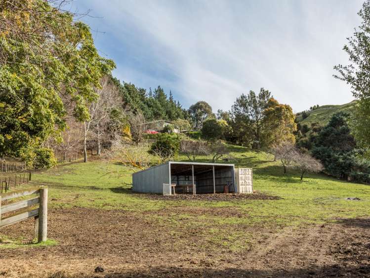 138 Seafield Road Eskdale_1