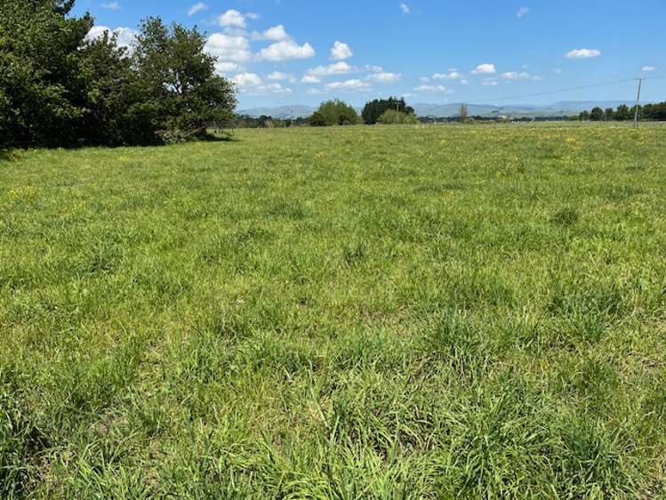 292 Tamaki River Rd Dannevirke_17