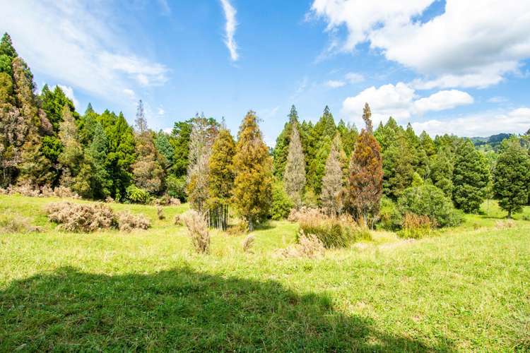 210 Waitekauri Road Waikino_23