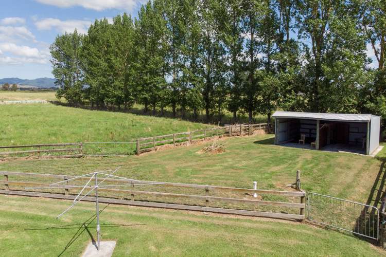 297 Hauraki Road Orongo_18