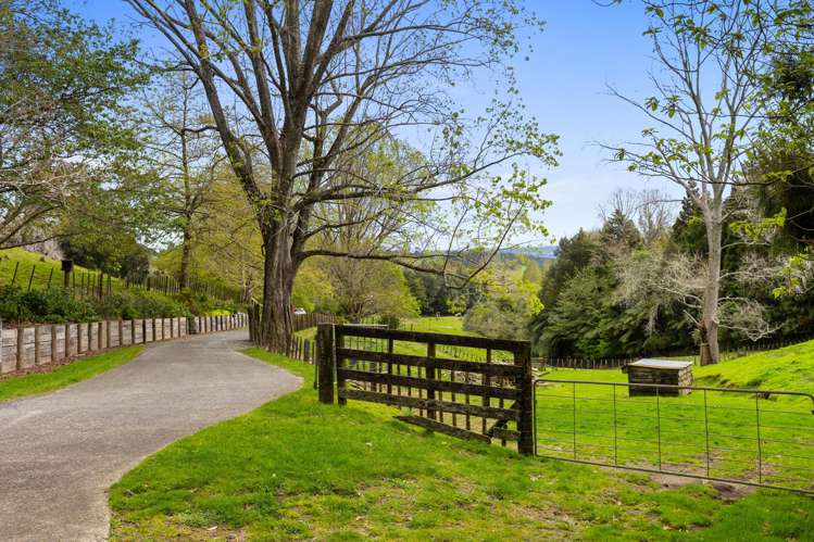 135E(a) McLaren Falls Road Omanawa_12