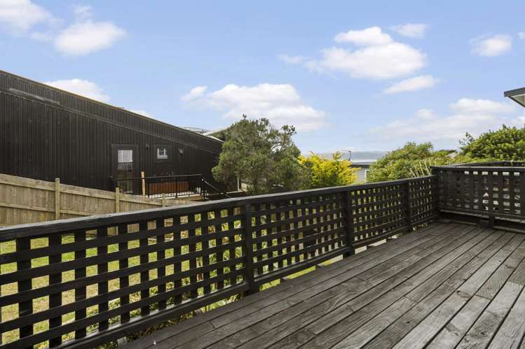 94 Pitt Street Wadestown_7