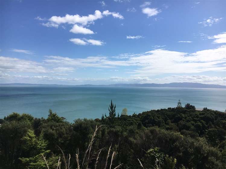 45 Otuturu Crescent Thames_24