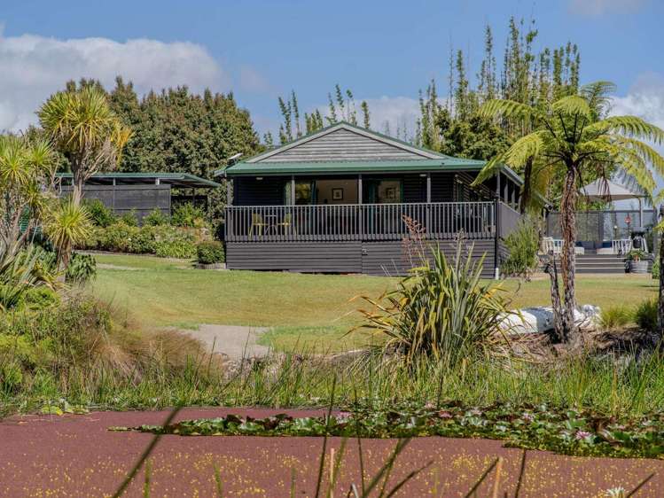 41A Orchard Road Kerikeri_15