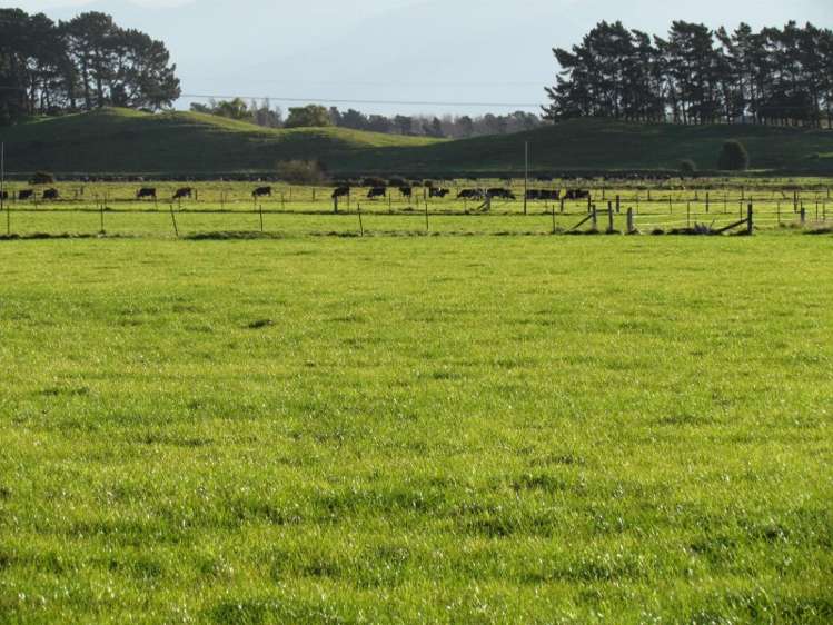 2246 Kahutara Road Kahutara_6