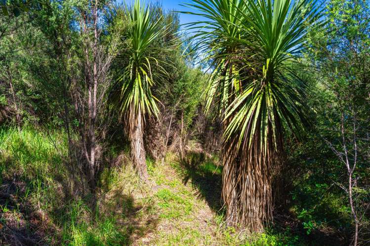 134 Cames Road Mangawhai_12