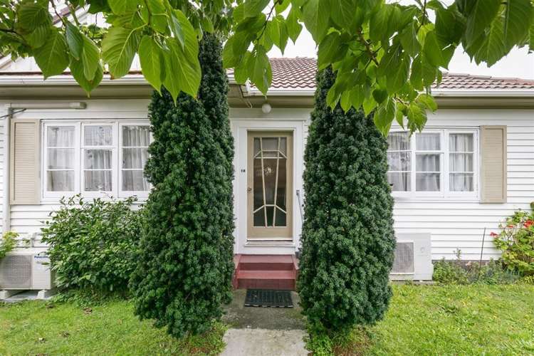 14 Hobart Street Miramar_0