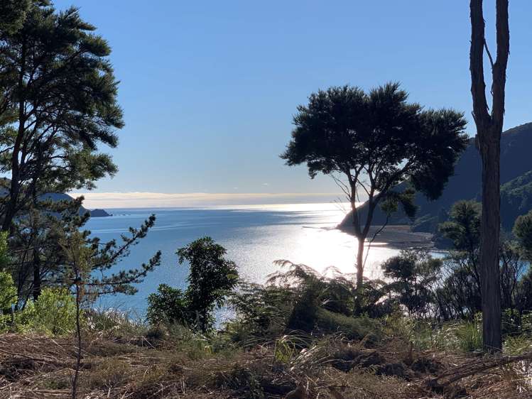 Lot 1 Croisilles-French Pass Road Okiwi Bay_19