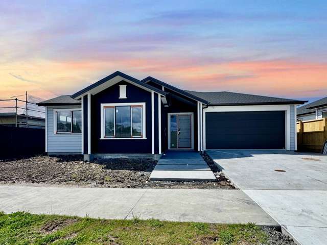 Stunning New Home with Granny Potential