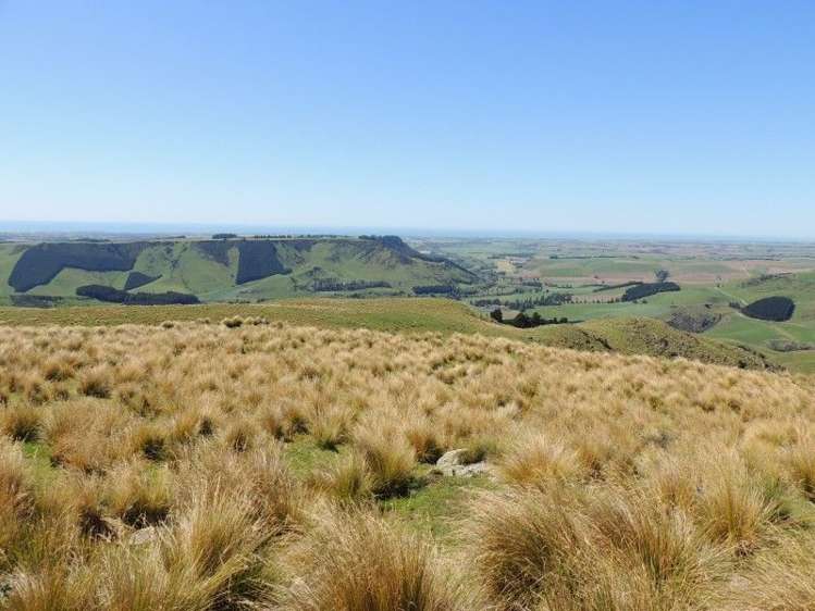 126 Mcphersons Road Taiko_8