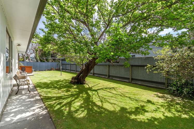 9C Nikau Street Taradale_11