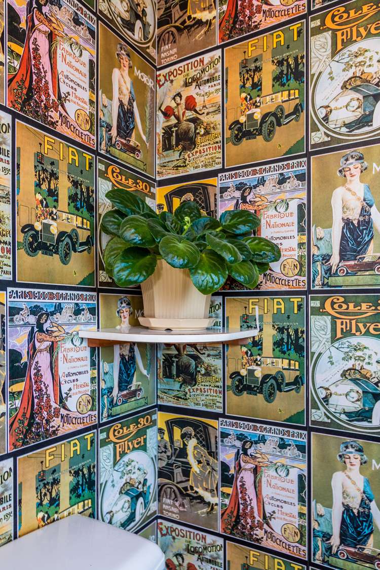 4 Ward Terrace Sandringham_15