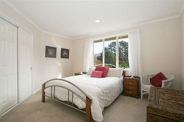 176 Kumikumi Road Kaimai_6