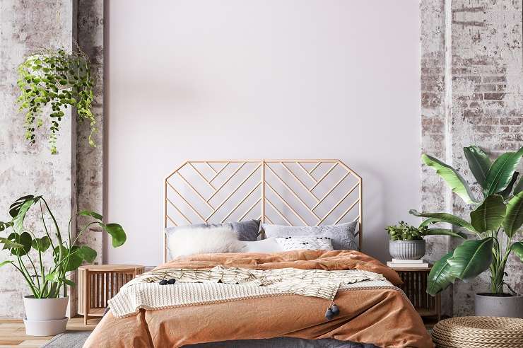 Bedroom with green walls, palm tree pot plant, charcoal grey padded headboard and peach, orange and green velvet cushions