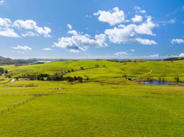 Breathtaking Taiharuru Sections