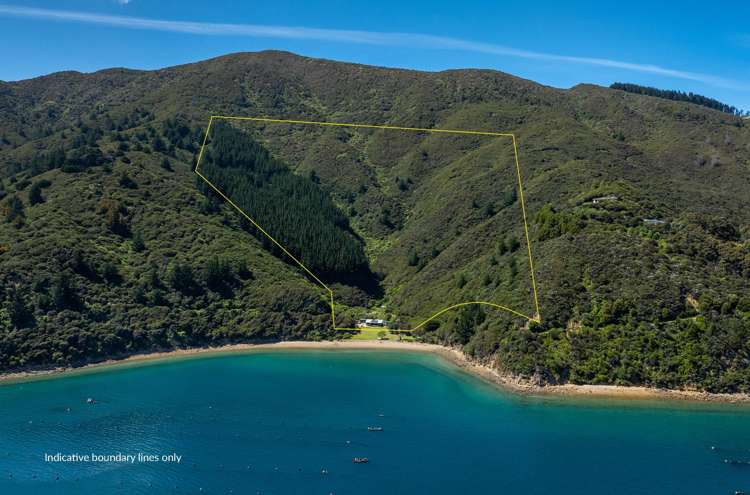 358 St Kilda Road Admiralty Bay_16