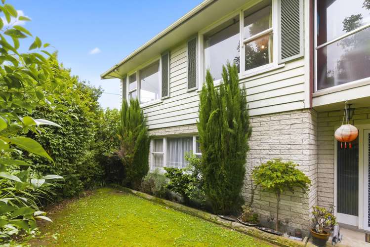 111 Winchester Street Levin_5