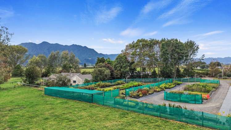 43 Mikkelsen Road Te Aroha_0