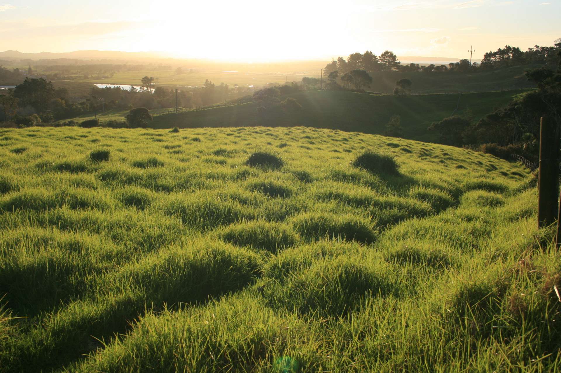 56e Kaipara Coast Highway Helensville_0