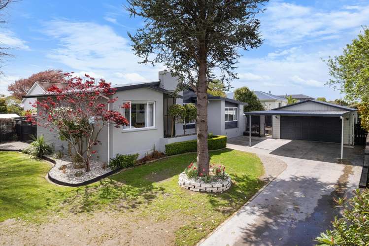 101 Ward Street Waverley_32