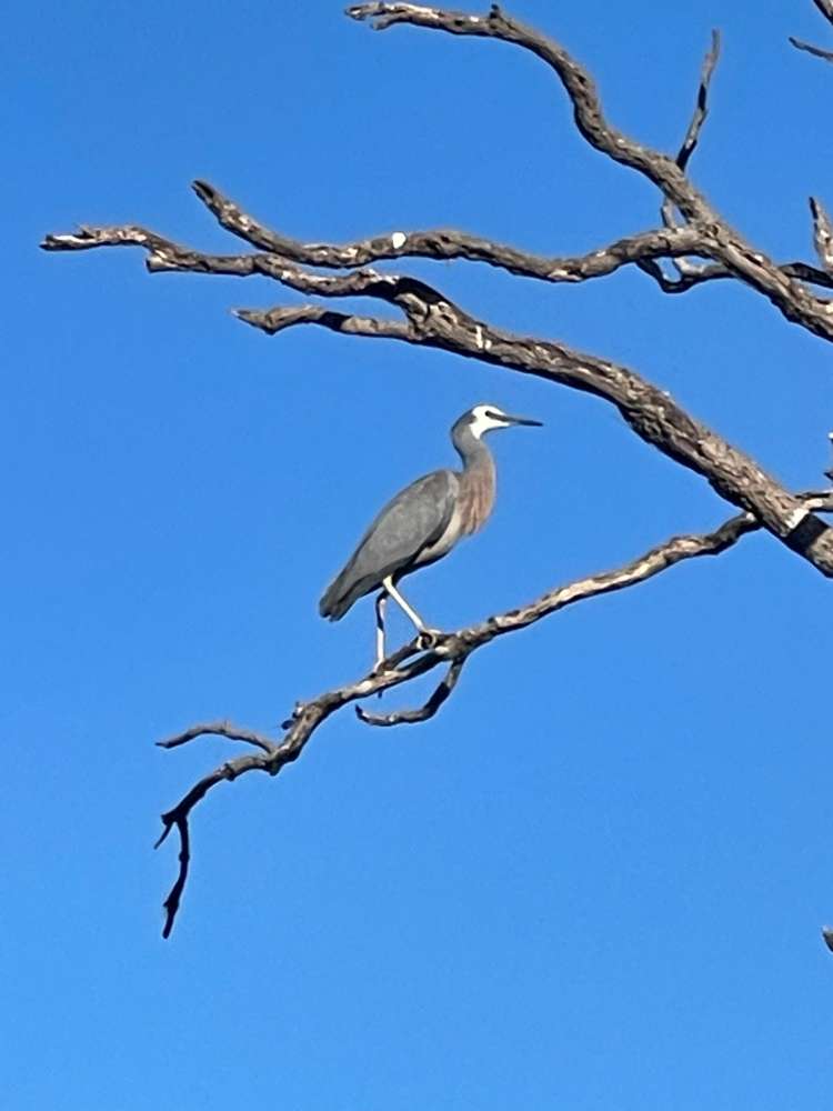 652A Te Whiti Road Te Whiti_29