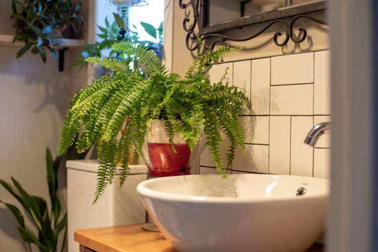 35 Government Road Raglan_8