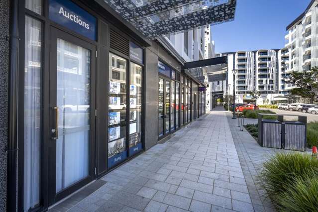 223 Greenlane West Epsom_3