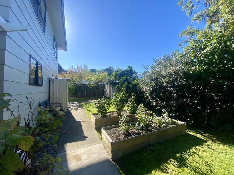 52 James Cook Street Havelock North_20