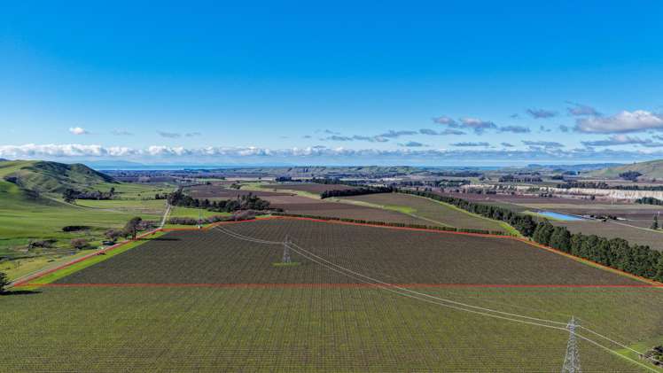 592 Awatere Valley Road Awatere Valley_5