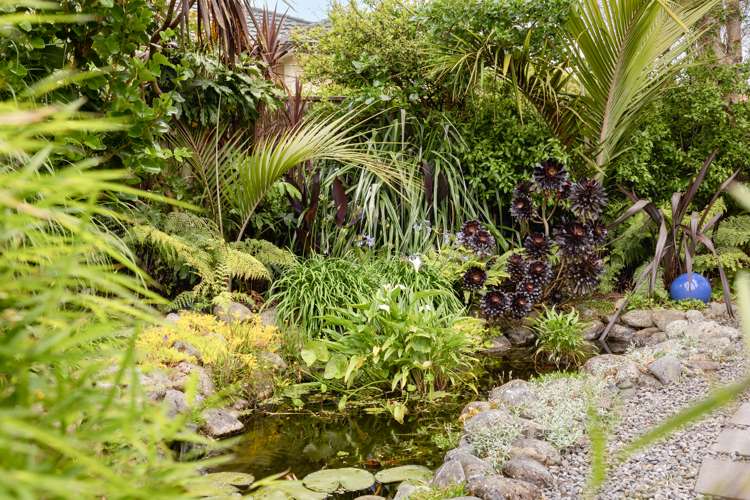 29 Avion Terrace Raumati Beach_16