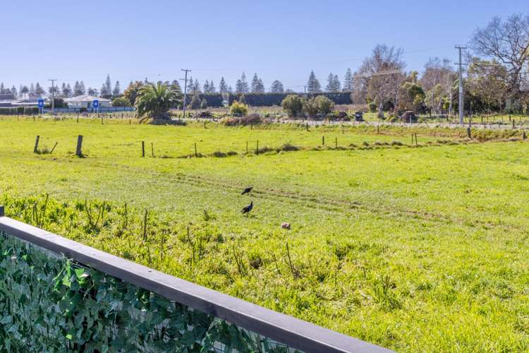 31a Masefield Avenue Maraenui_16