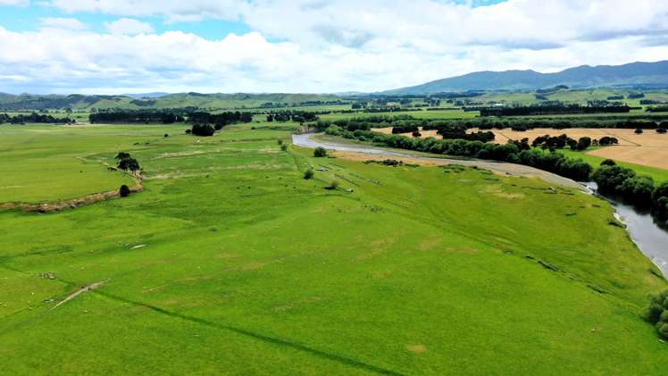 253 Oringi Road Dannevirke_9