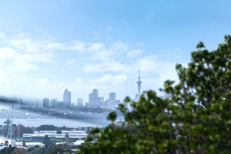 80a Don Buck Road Massey_2