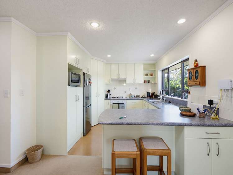 137 Avenue Road Greenmeadows_9
