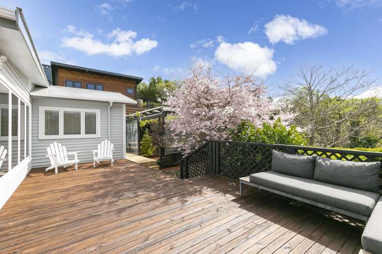 61 Middleton Road Johnsonville_5