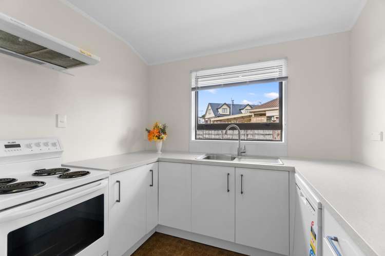 330 Tui Crescent_3