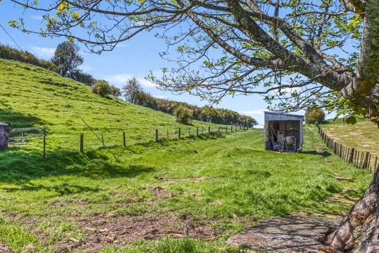 194 Tarata Road Inglewood_21