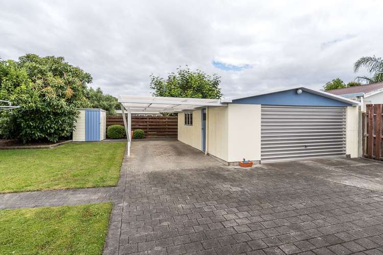 31 Plunket Street Tamatea_2