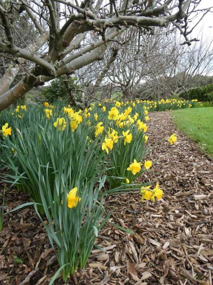 444F Matakawau Road Awhitu_11