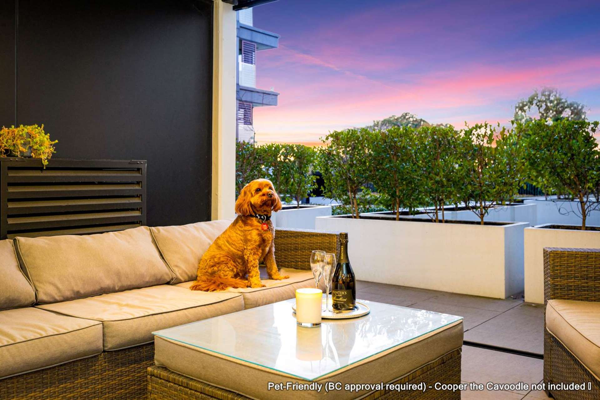 Lg07/9 Madeira Lane Grafton_0