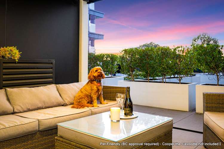 Lg07/9 Madeira Lane Grafton_0