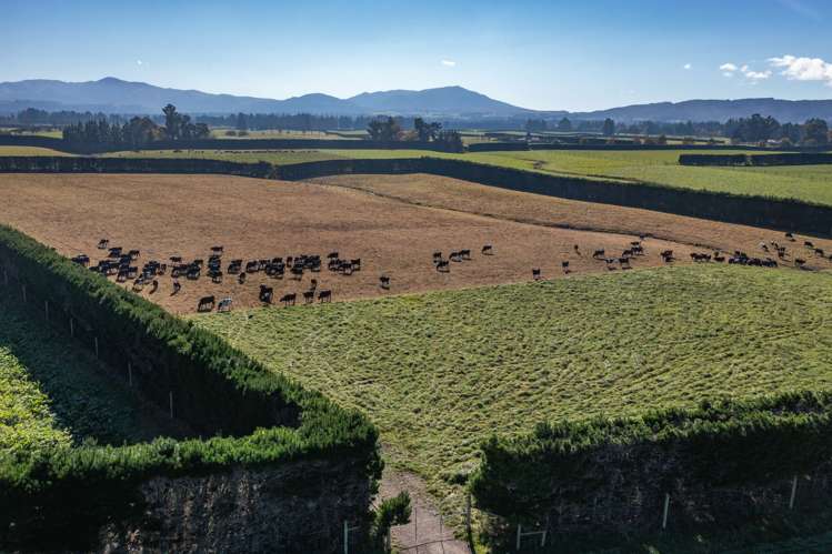 152 Stonyflat Road Loburn_11